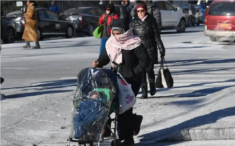 الصقيع يقترب.. تجمد واسع النطاق يهدد