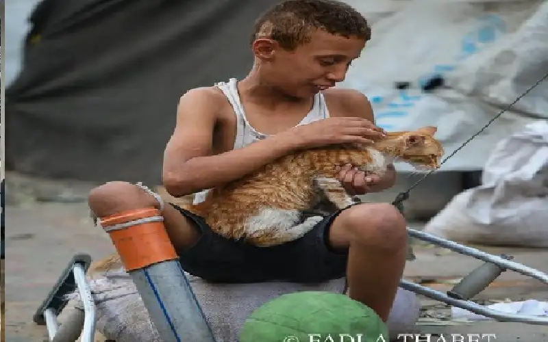 غزة.. ويحبون الحياة ما استطاعوا إليها