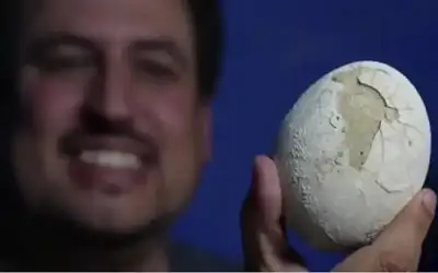 بيضة ديناصور تعود إلى 70 مليون