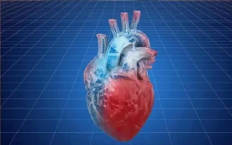 ارتجاع المريء يزيد خطر النوبات القلبية