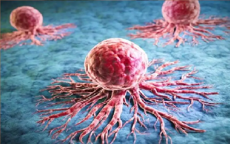 اختراق علمي يكشف.. كيف تتحدى خلايا