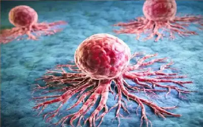 اختراق علمي يكشف.. كيف تتحدى خلايا