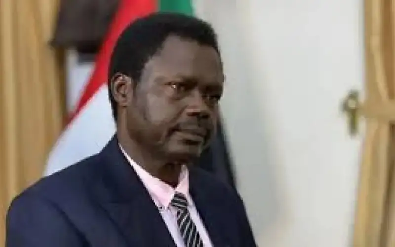 حاكم دارفور: قوات الدعم السريع ترتكب