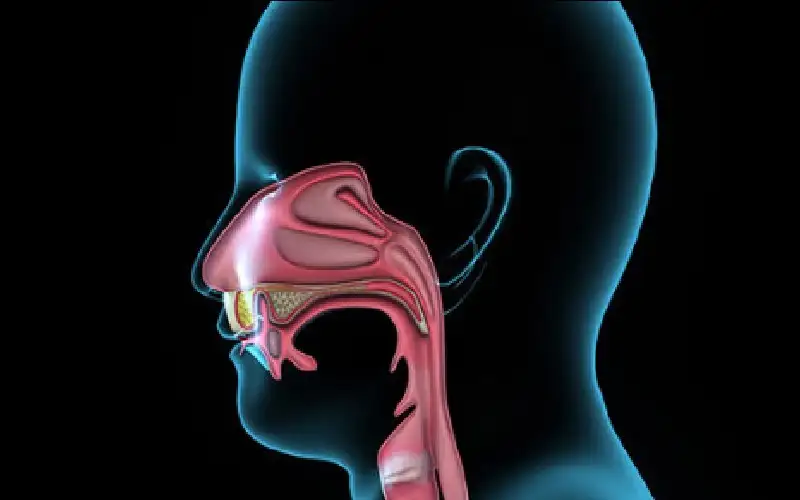 التنقيط الأنفي الخلفي.. سبب خفي لرائحة