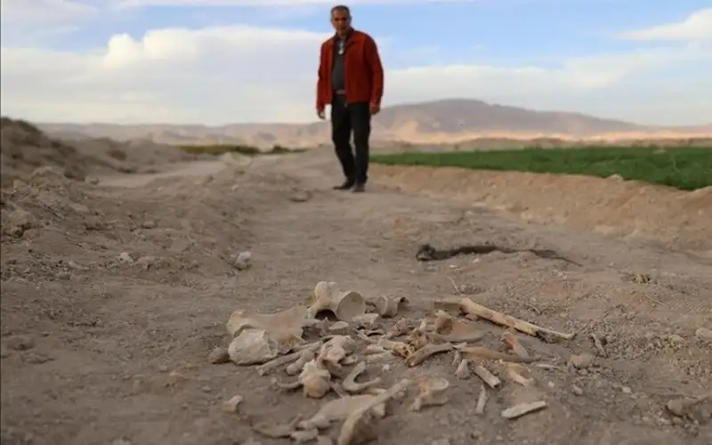 سوريا .. العثور على مقبرة جماعية