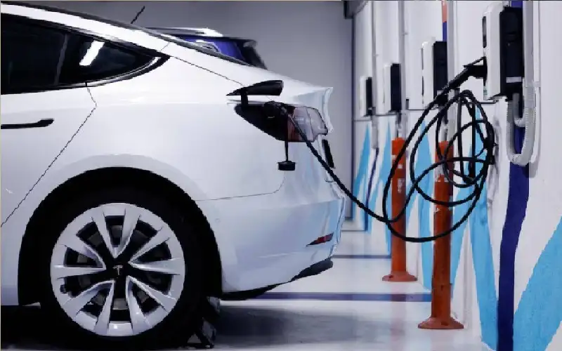 هل انتهى شهر العسل بين البيئة