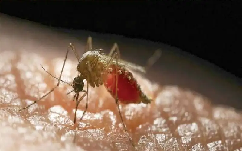 صور ثلاثية الأبعاد تكشف آلية تعقب