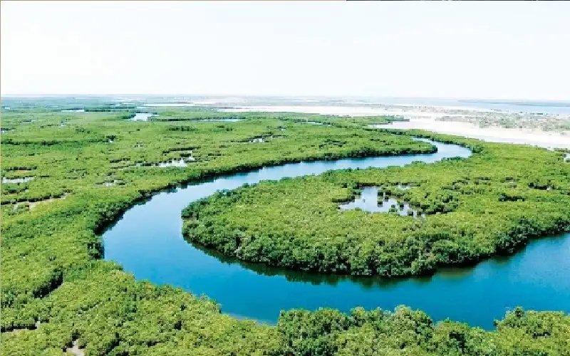 نشطاء البيئة بحاجة لتفكير أكثر شمولا