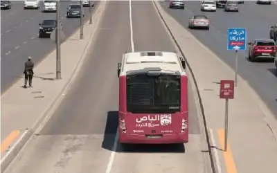 تزويد 291 حافلة ضمن حدود أمانة