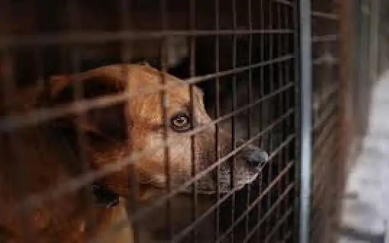 بلدية كبرى توقع اتفاقية لإنشاء أول