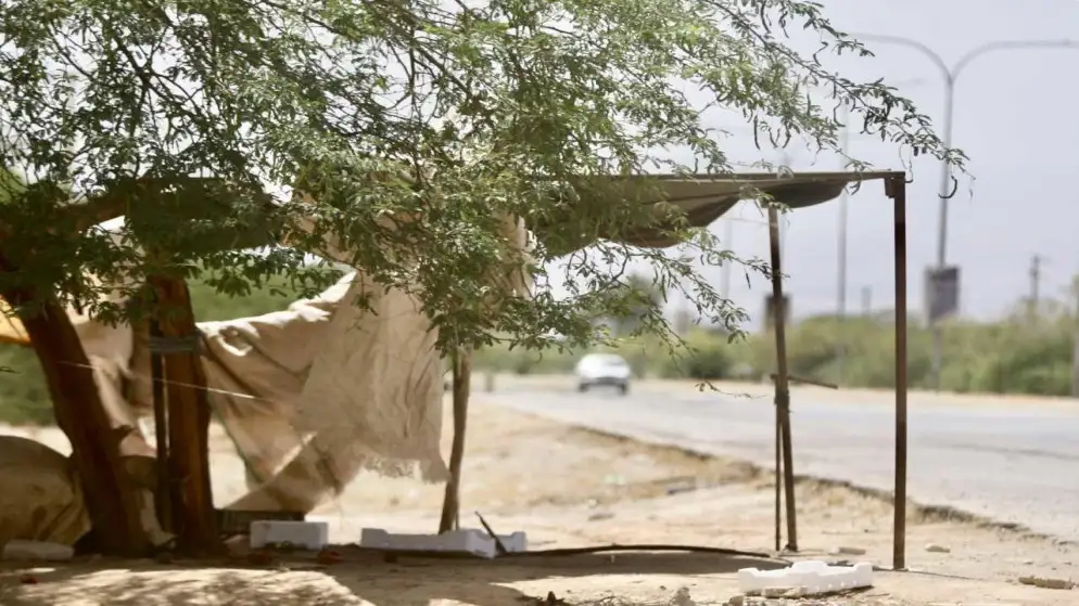 الحرارة أعلى من معدلاتها بـ 7