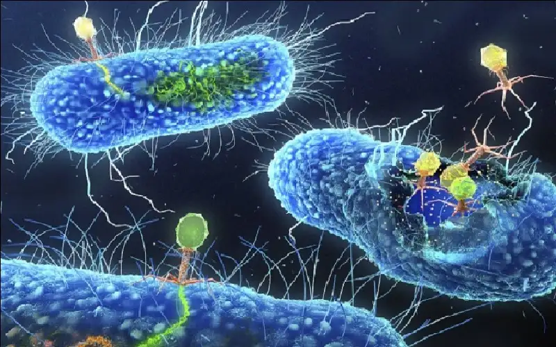 الميكروبات المهندسة أول علاج حي ذكي