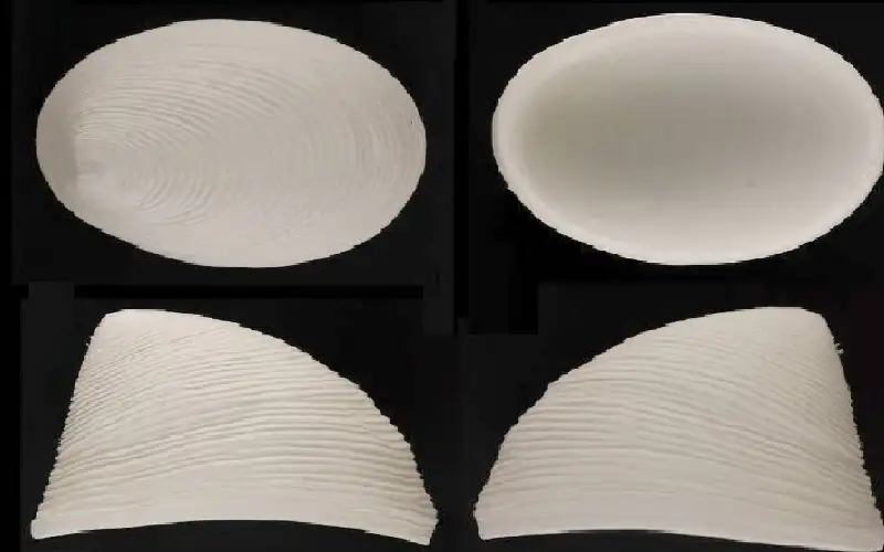 اكتشاف نوع جديد من الرخويات البحرية