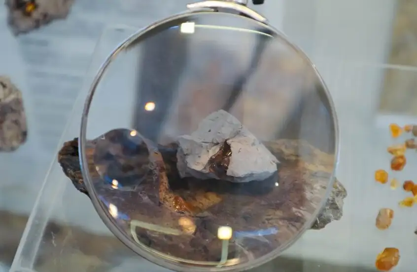 العثور على كهرمان عمره أكثر من