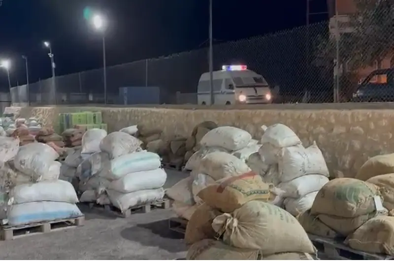 ضبط 100 تنكة زيت مغشوش في