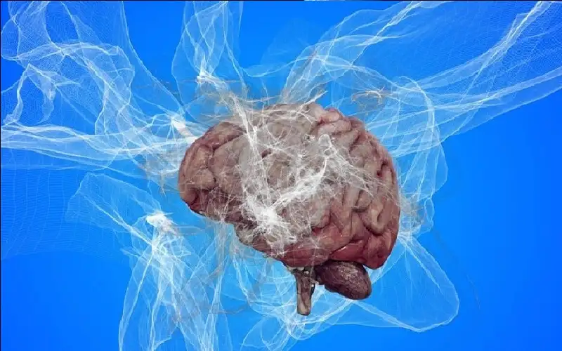 كشف علمي مذهل: سبب مجهول في