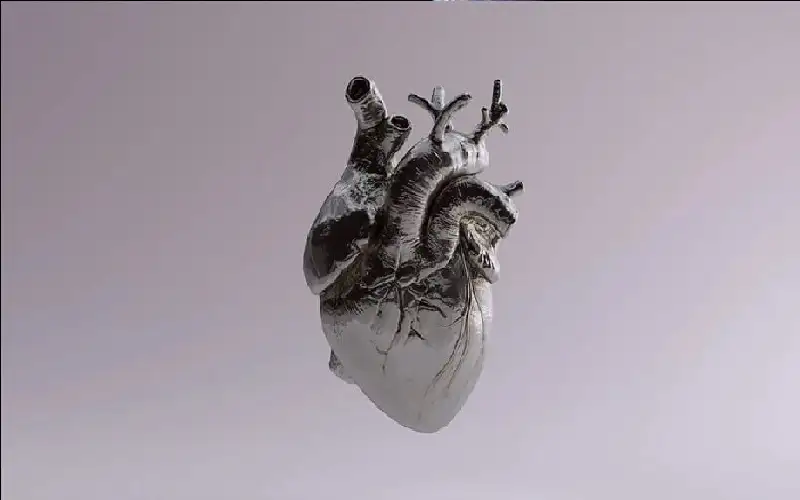 حين تطوى الخلايا لتصلح القلوب.. .