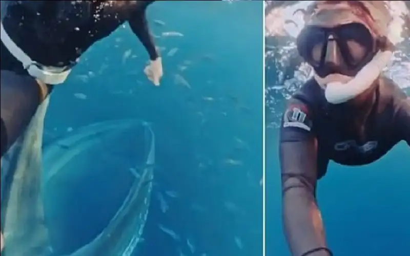 على حافة الموت تحت الماء: غواصة