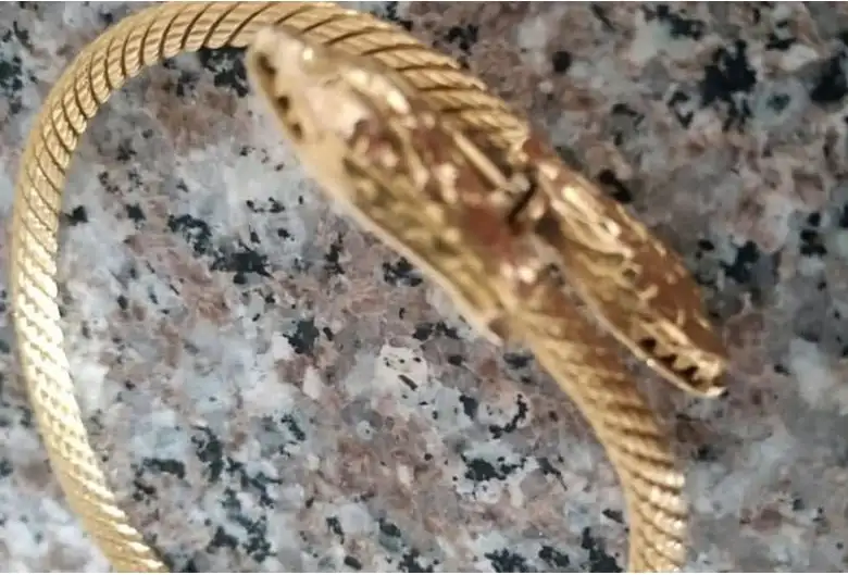 سيدة اردنيه تعثر على اسوارة التي