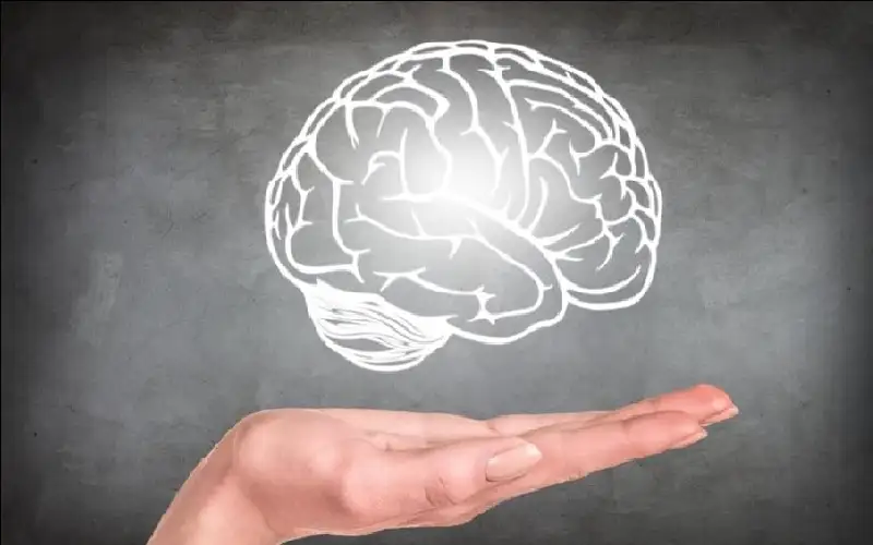 هل يقلص تدريب الدماغ شيخوخته 10