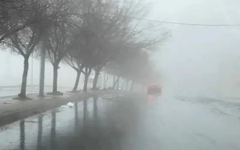 القرالة: الهطولات المطرية ستعم أغلب مناطق