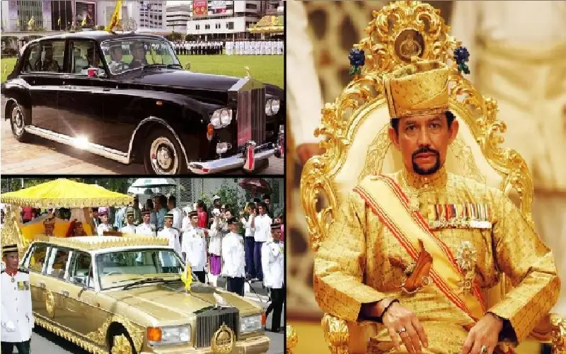 يملك 7 آلاف سيارة وطائرة مطلية