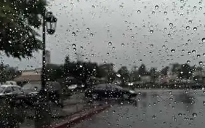 أول شتوة .. عجلون الأعلى هطولا