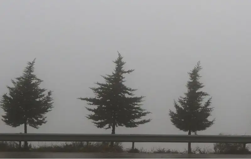 أمانة عمان: جميع الطرق والانفاق والجسور