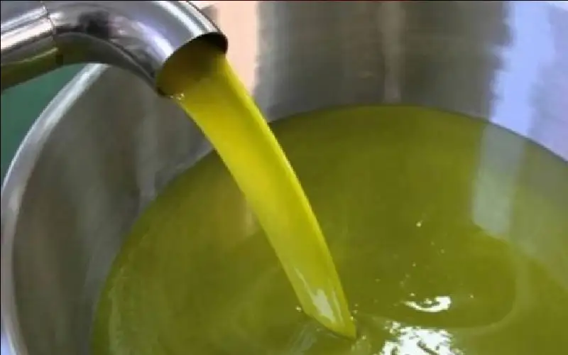 هل تخفض الأمطار الأخيرة أسعار زيت