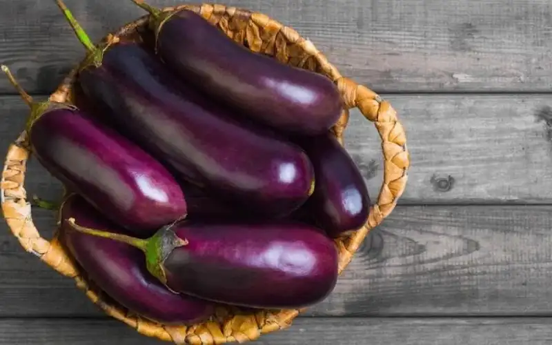 سيدتي .. الباذنجان ليس للمقلوبة فقط