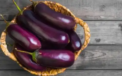 سيدتي .. الباذنجان ليس للمقلوبة فقط