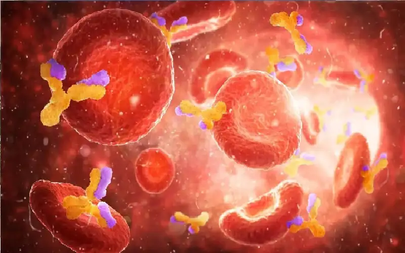 اختراق دماغي وثروة فورية… كيف صعد