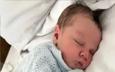 كلب يصاب بنوبة هلع فيهاجم رضيعا