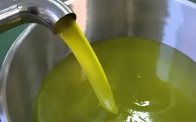 اليكم سعر تنكة زيت الزيتون المستورد
