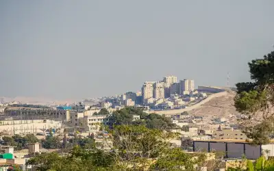 طقس خريفي لطيف فوق المرتفعات ومعتدل