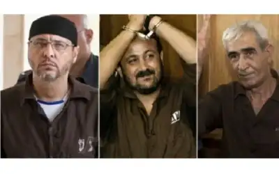 من ‎حماس إلى الهباش، والعملاء في