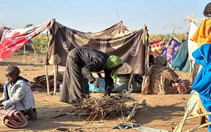 الأمم المتحدة: الفاشر تحولت إلى مسرح