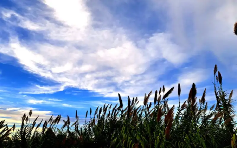 الخميس .. طقس لطيف الحرارة فوق