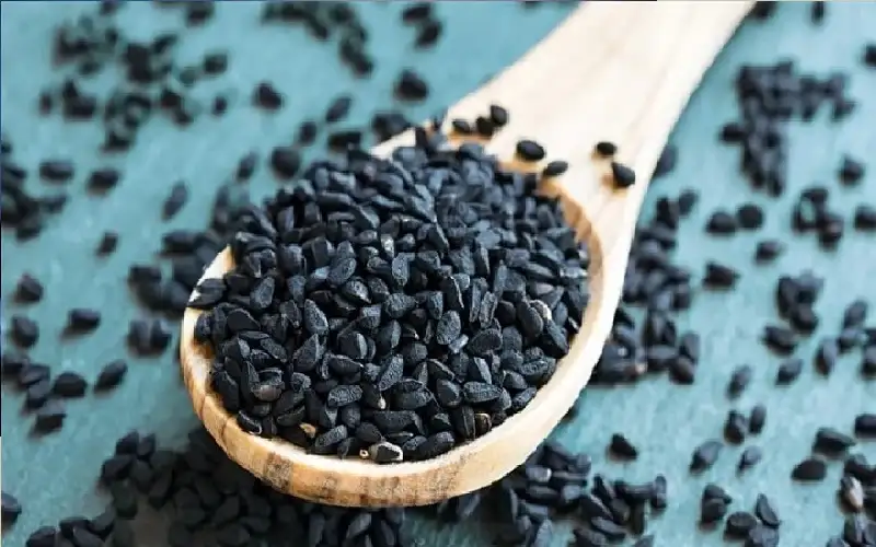 تجربة تثبت فوائد حبة البركة المضادة