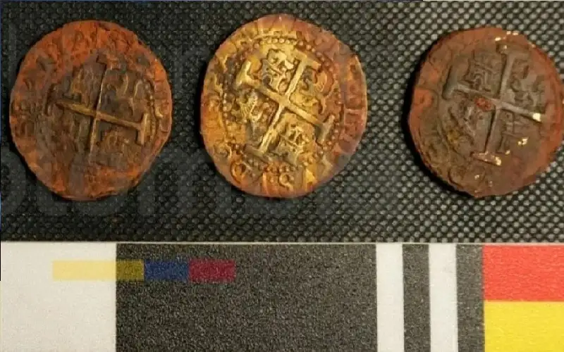 كنز سان خوزيه يبدأ بالظهور.. مدفع