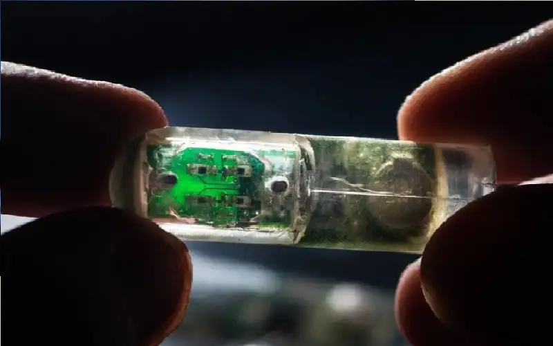 كبسولات مغناطيسية تكشف نزيف الأمعاء في