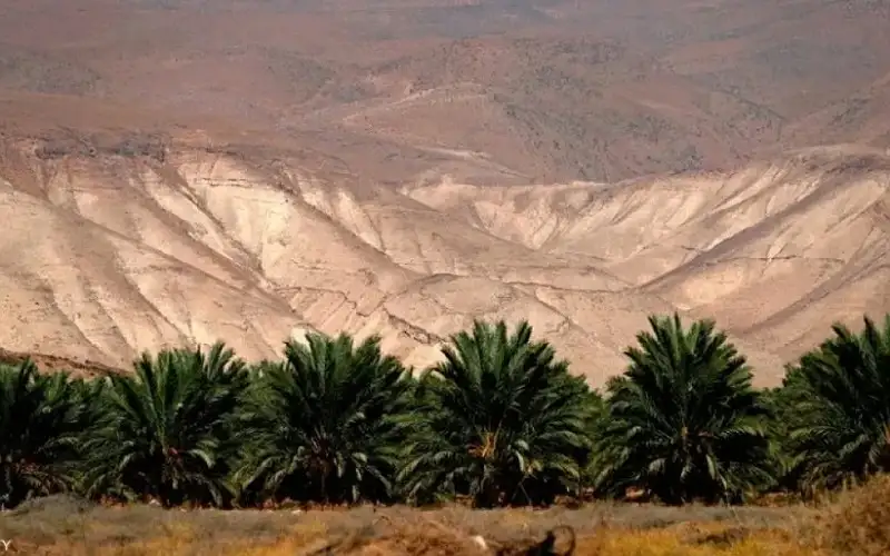 أوامر إسرائيلية بالاستيلاء على أراض جديدة