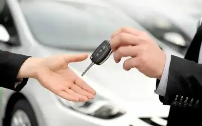 الانتهاء من إعداد نظام متكامل لتنظيم