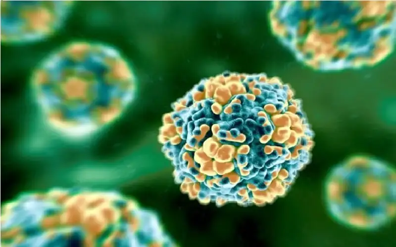 فيروس جديد يشبه أعراض البرد لكنه