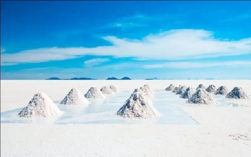 كوريا تفاجئ العالم… تحويل بقايا قصب