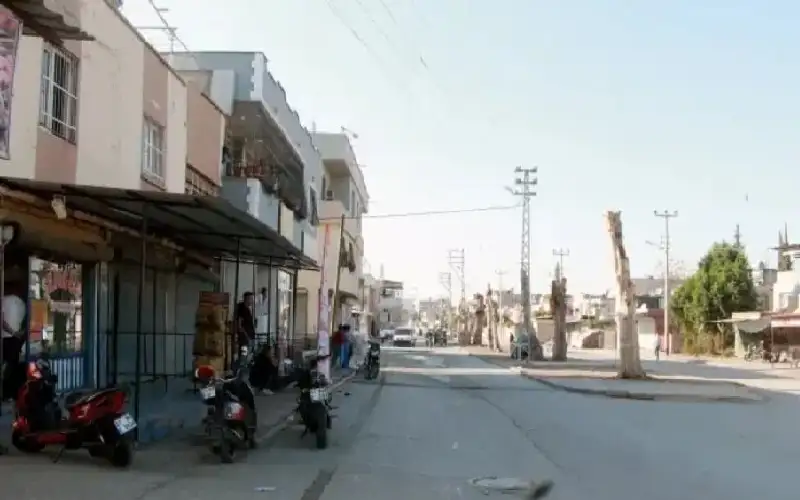 الذكاء الاصطناعي يكشف أخطر أحياء تركيا