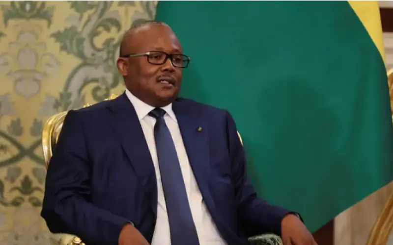 انقلاب عسكري في غينيا : الجيش