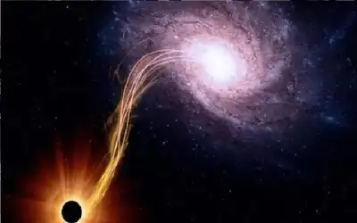تأثير مروع.. ماذا يحدث لجسم الإنسان