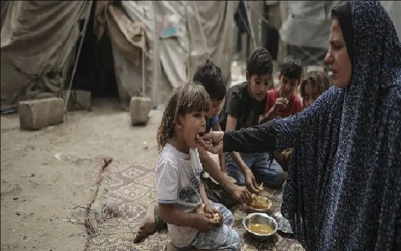 الصفدي: 80% من احتياجات الغذاء لا