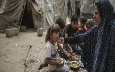 الصفدي: 80% من احتياجات الغذاء لا